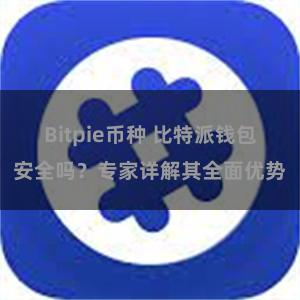 Bitpie币种 比特派钱包安全吗？专家详解其全面优势