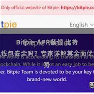 Bitpie APP备份 比特派钱包安全吗？专家详解其全面优势