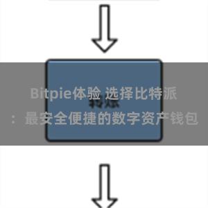 Bitpie体验 选择比特派：最安全便捷的数字资产钱包