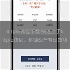 Bitpie钱包下载 快速上手Bitpie钱包，多链资产管理技巧