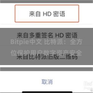 Bitpie中文 比特派：全方位保护用户数字资产安全