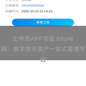 比特派APP功能 Bitpie官网：数字货币资产一站式管理平台