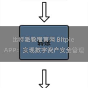 比特派教程官网 Bitpie APP：实现数字资产安全管理