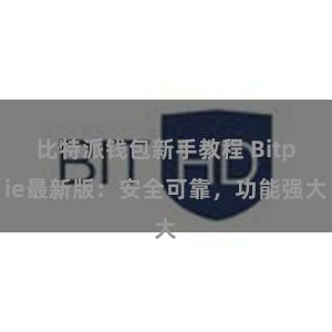 比特派钱包新手教程 Bitpie最新版：安全可靠，功能强大