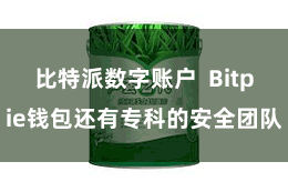 比特派数字账户  Bitpie钱包还有专科的安全团队